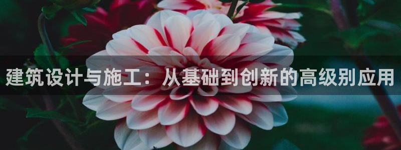 新航娱乐公司地址电话