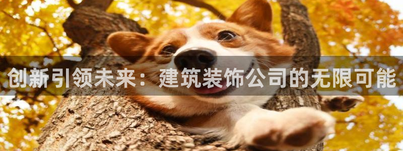 新航娱乐入新航娱乐怎么样：创新引领未来：建筑装饰公司的无限可