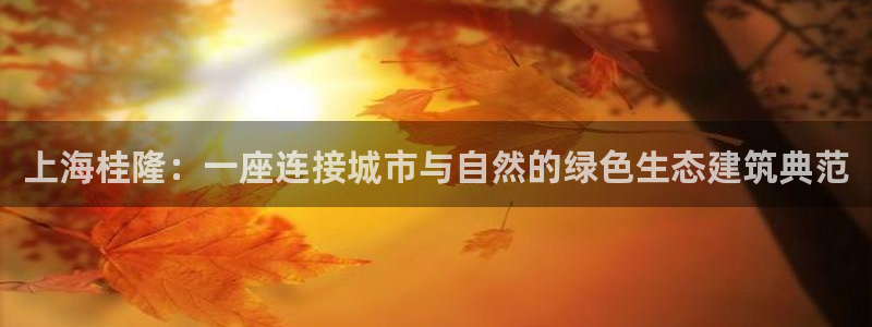 新航娱乐平台