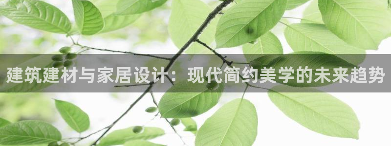 新航娱乐