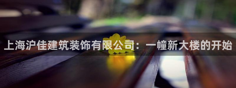 新航娱乐q