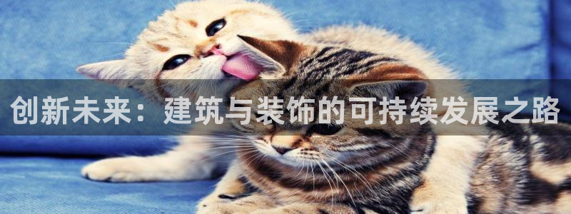新航机上娱乐