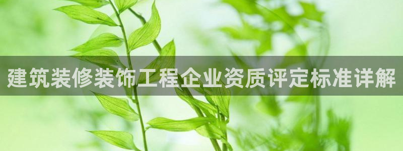 新航娱乐有限公司招聘
