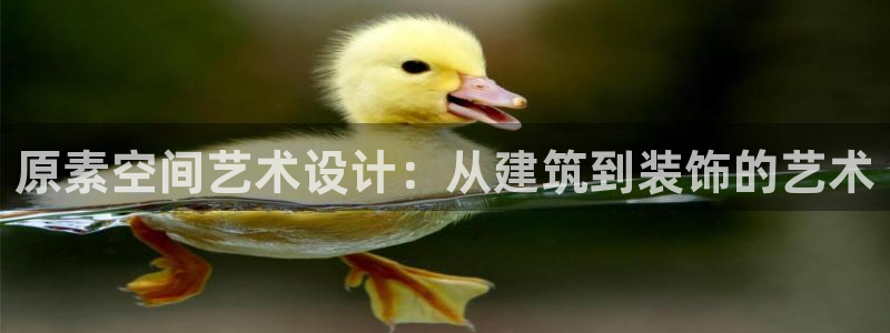 新航娱乐的最新动态报道