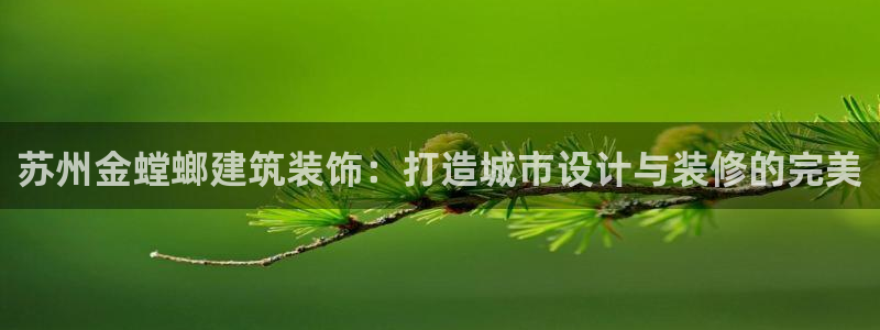 新航娱乐公司问题解决