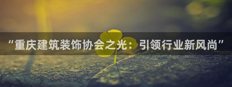 新航文化娱乐传媒