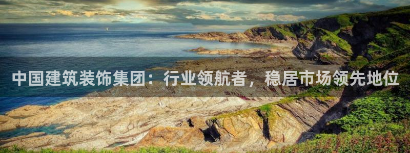 新航娱乐公司问题