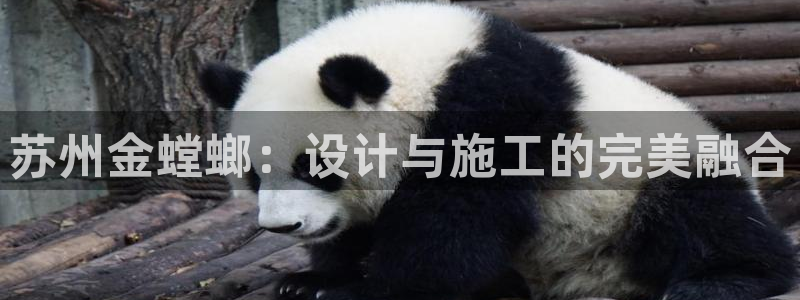 新航娱乐公司地址