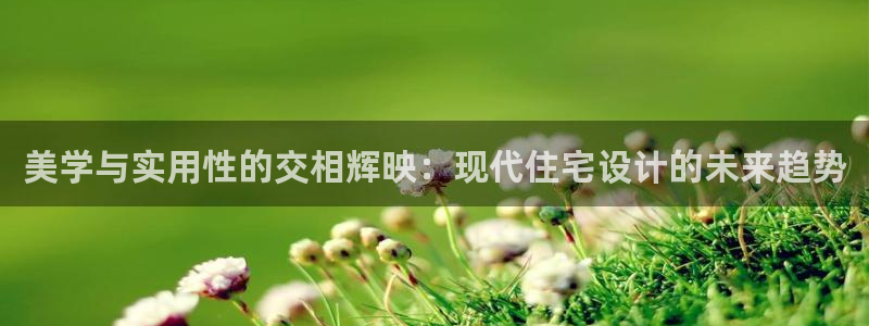 新航娱乐公司地址