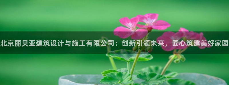新航娱乐公司简介
