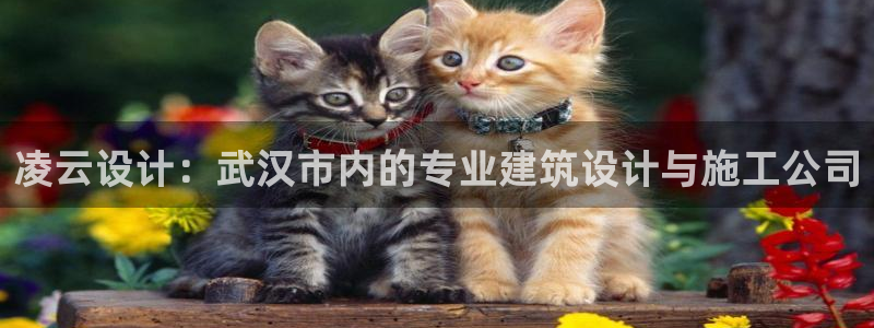 高州市新航线娱乐俱乐部