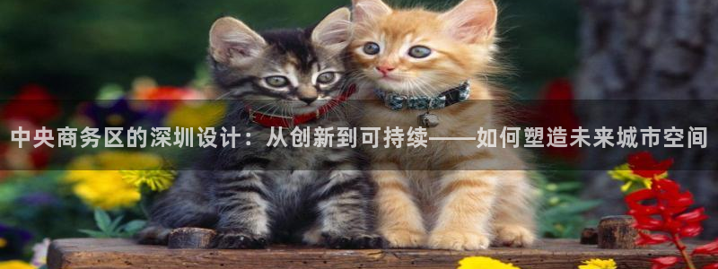 新航文化娱乐传媒