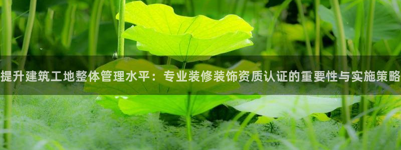 新航线娱乐