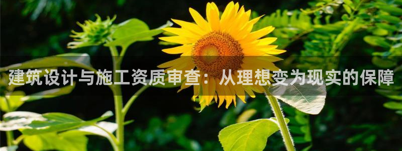 新航面试娱乐