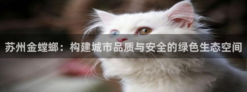 张掖新航线娱乐会所