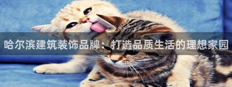 新航娱乐app下载