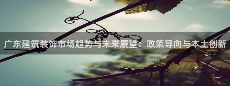 新航娱乐是干嘛的