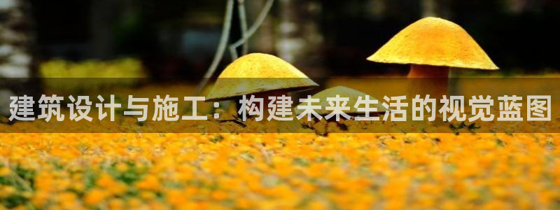 新航文化娱乐传媒招聘