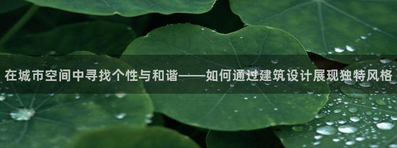新航娱乐网址