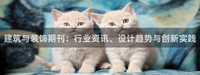 新航娱乐传媒怎么样知乎