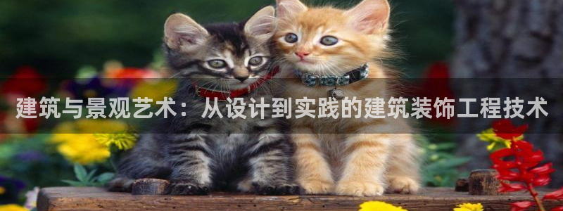 阜新航空娱乐