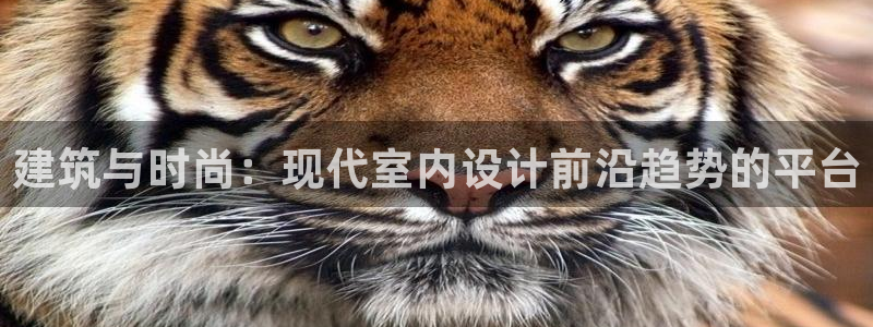 新航线辉煌娱乐会所