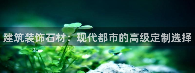 新航娱乐有限公司
