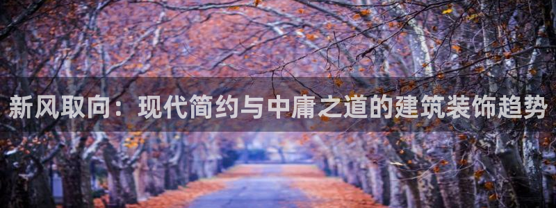 新航娱乐公司简介图片