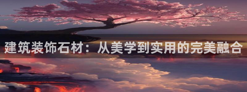 新航娱乐公司艺人招聘