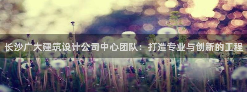 新航虚拟娱乐