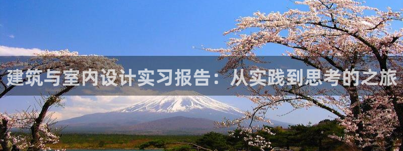 娱乐新航向