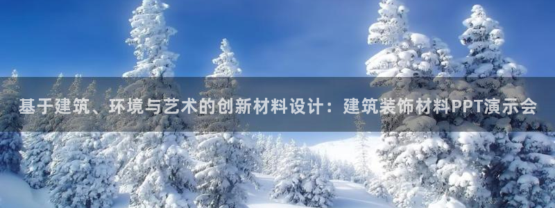 新航娱乐公司地址