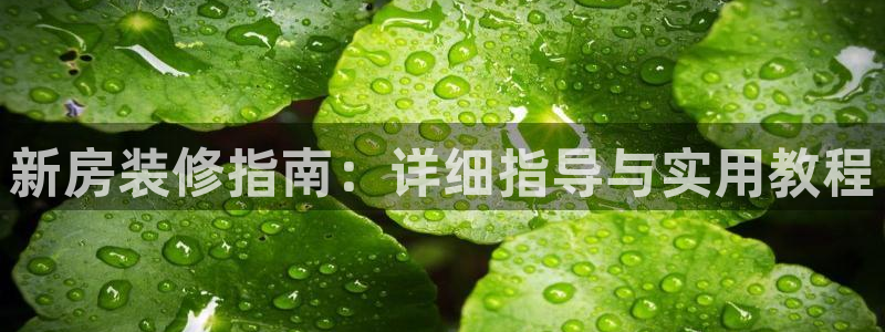 新航娱乐旗下艺人列表