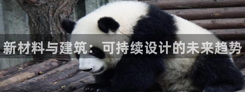 新航娱乐的创始人背景