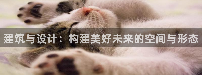 新航娱乐传媒招聘信息