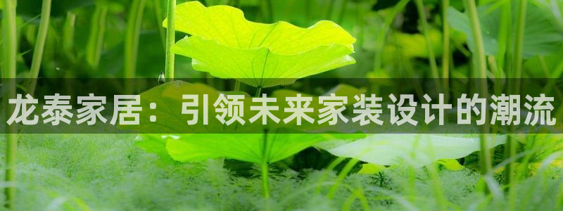 新航娱乐直开怎么下载