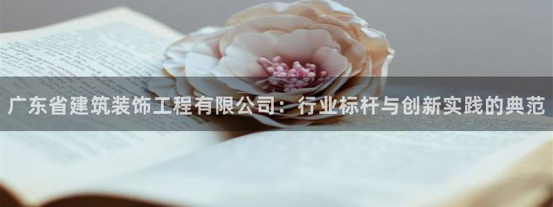 新航娱乐公司怎么样啊