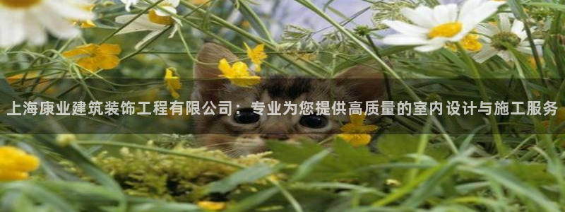 萧山娱乐新航母阿里巴巴