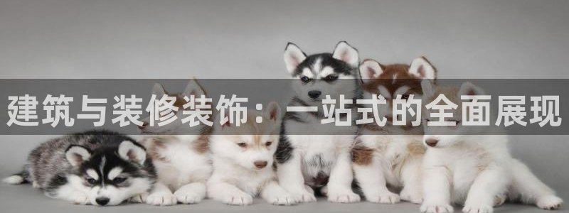 新航城娱乐传媒有限公司