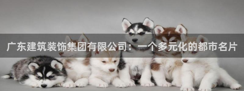 新航娱乐官网注册入口