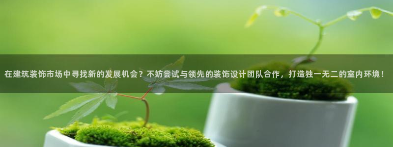 新航娱乐管理有限公司