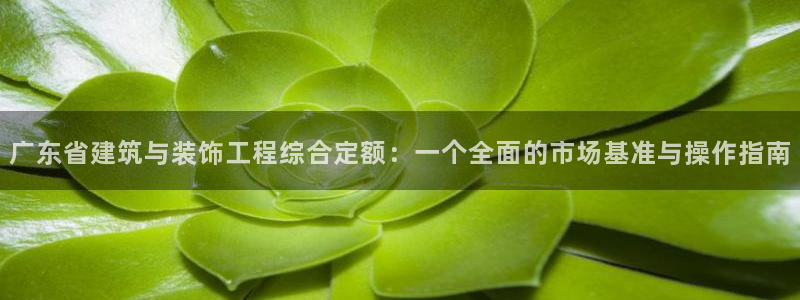 新航娱乐公司地址电话