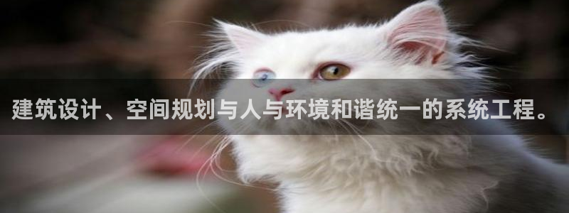 新航新客舱机上娱乐银