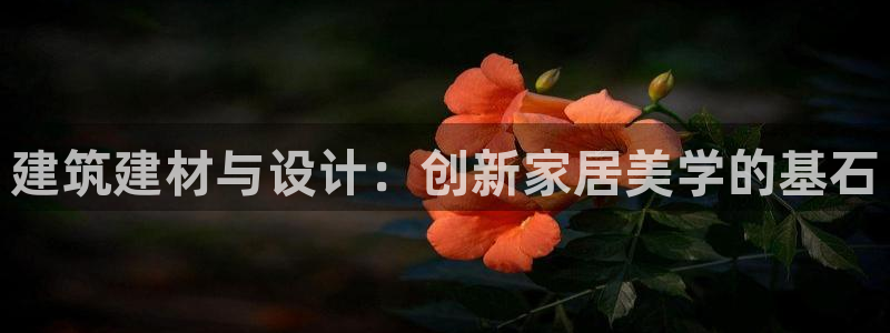 新航娱乐是干嘛的