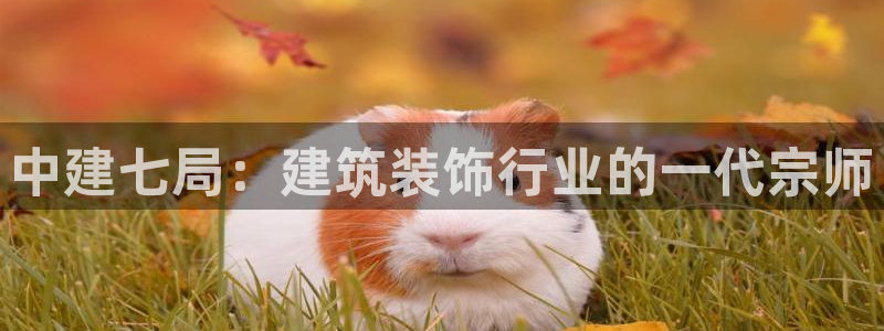 新航娱乐最新娱乐项目介绍