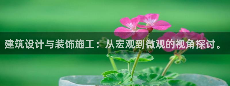 新航娱乐app下载安卓