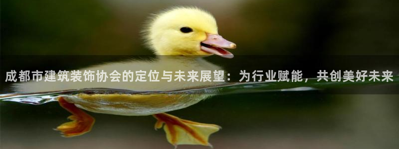 新航娱乐怎么样知乎