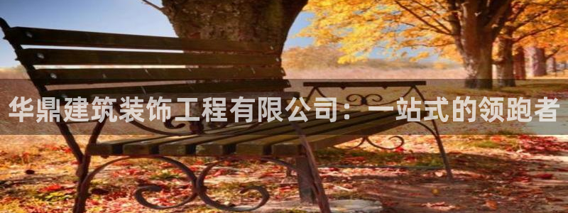 新航娱乐传媒怎么样知乎