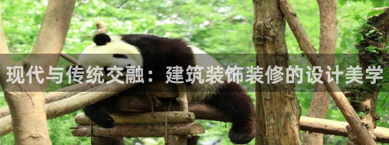 新航娱乐怎么样