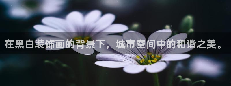 新航娱乐平台官网